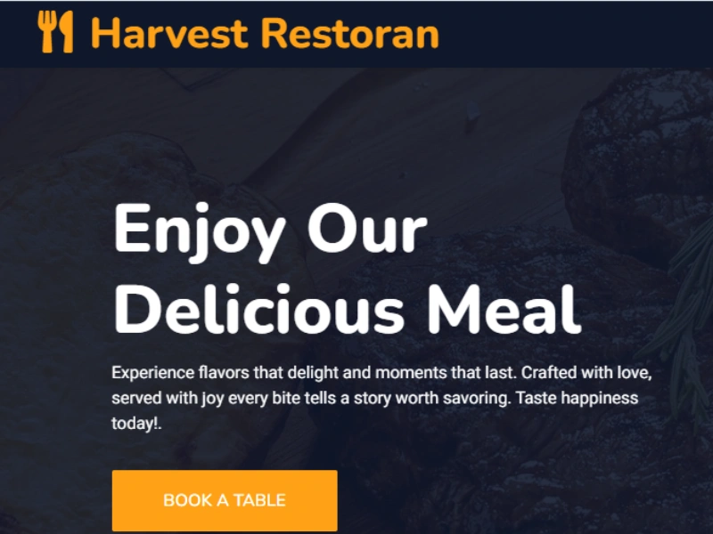 rajitjain web developer